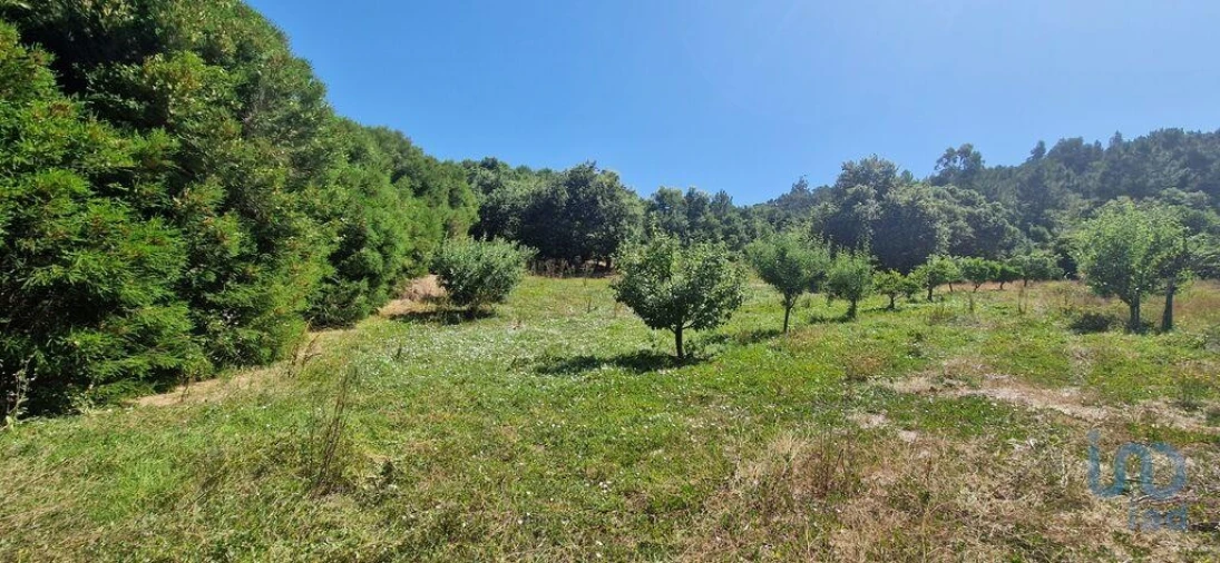 Terreno para Venda em Azueira e Sobral da Abelheira
