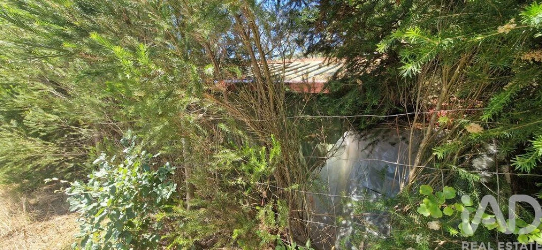 Terreno para Venda em Azueira e Sobral da Abelheira Foto 19