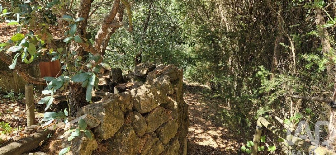 Terreno para Venda em Azueira e Sobral da Abelheira Foto 24