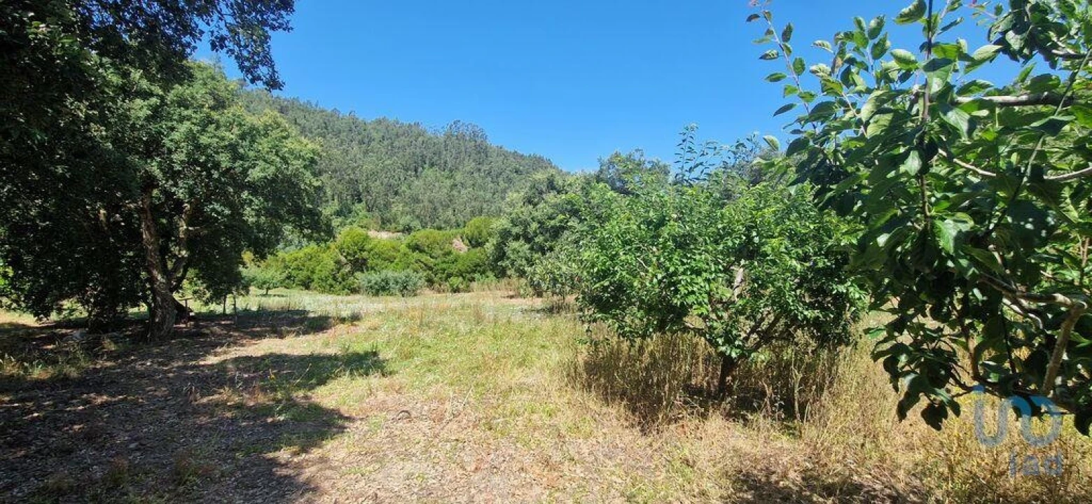 Terreno para Venda em Azueira e Sobral da Abelheira Foto 11