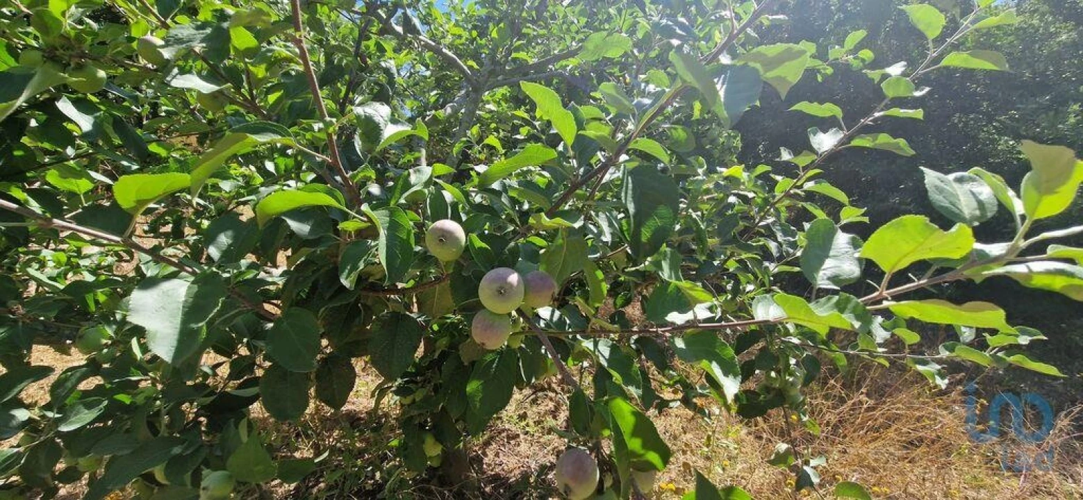 Terreno para Venda em Azueira e Sobral da Abelheira Foto 12