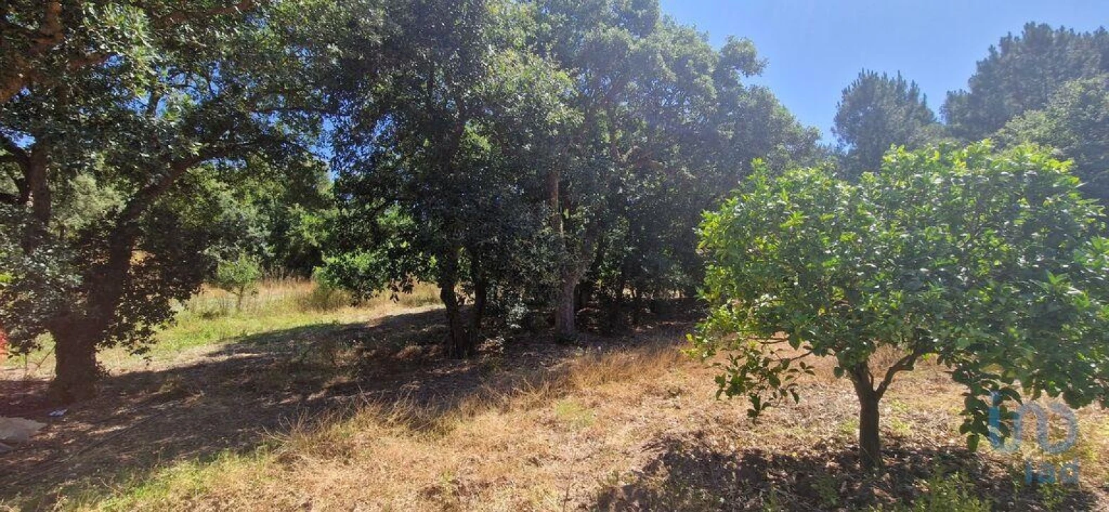 Terreno para Venda em Azueira e Sobral da Abelheira Foto 5