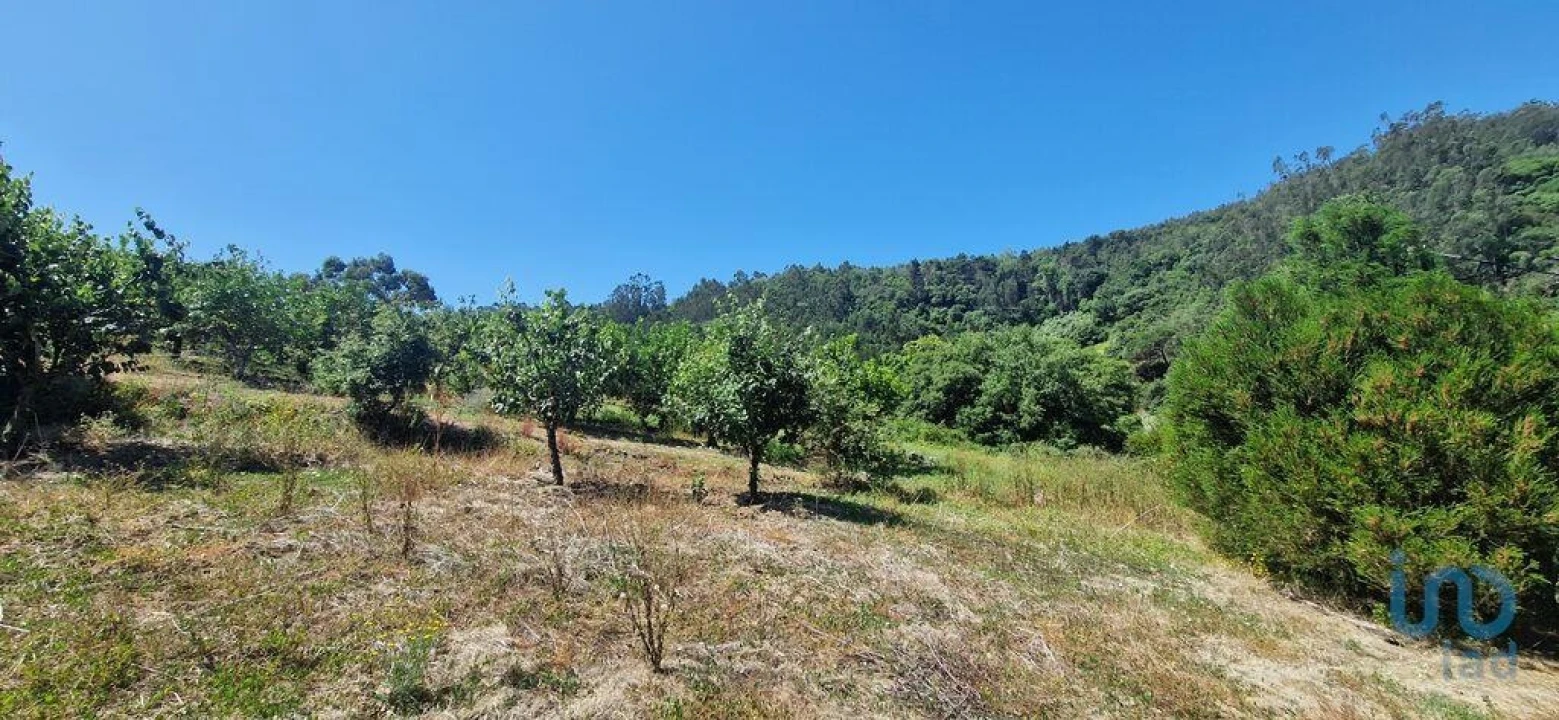 Terreno para Venda em Azueira e Sobral da Abelheira Foto 3