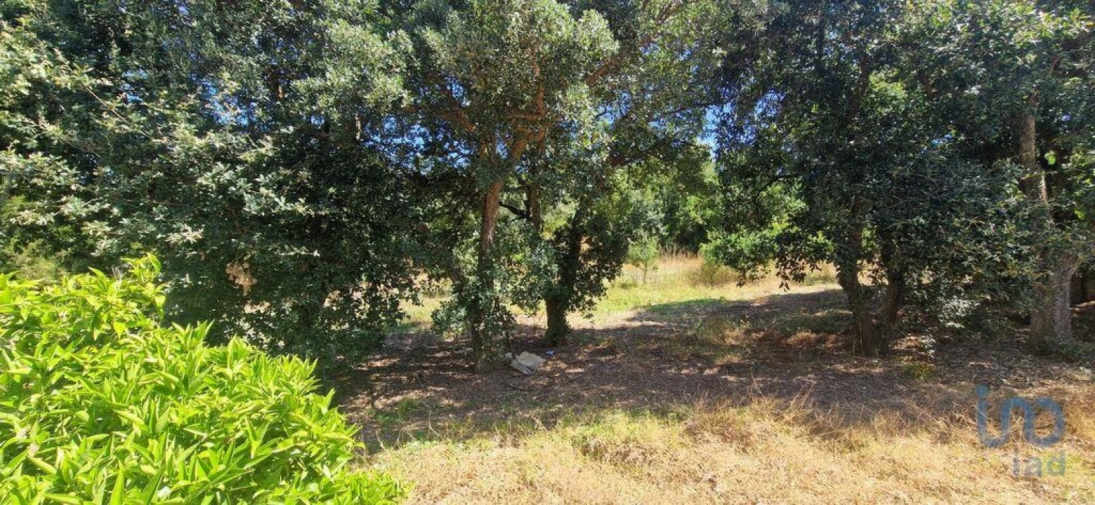 Terreno para Venda em Azueira e Sobral da Abelheira Foto 6