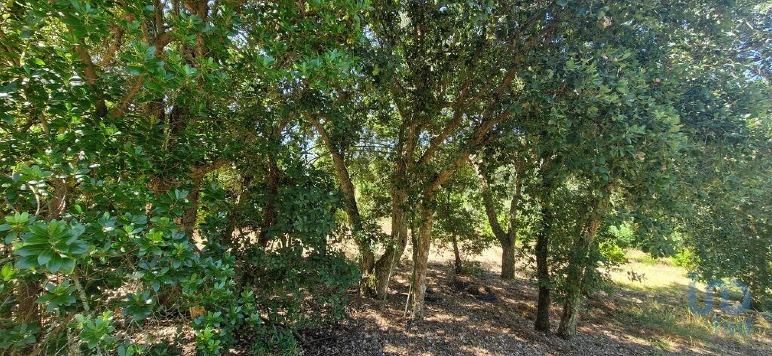 Terreno para Venda em Azueira e Sobral da Abelheira Foto 10