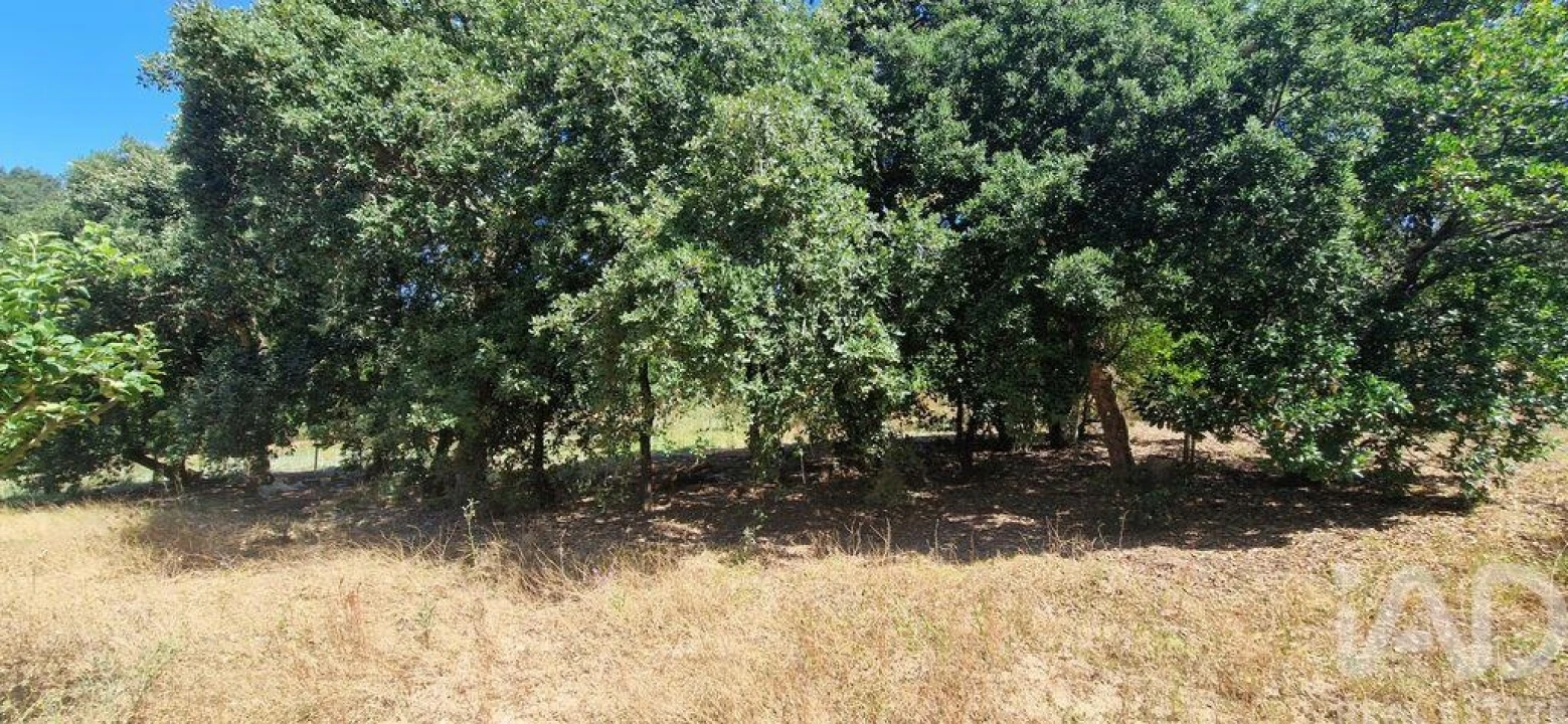 Terreno para Venda em Azueira e Sobral da Abelheira Foto 15