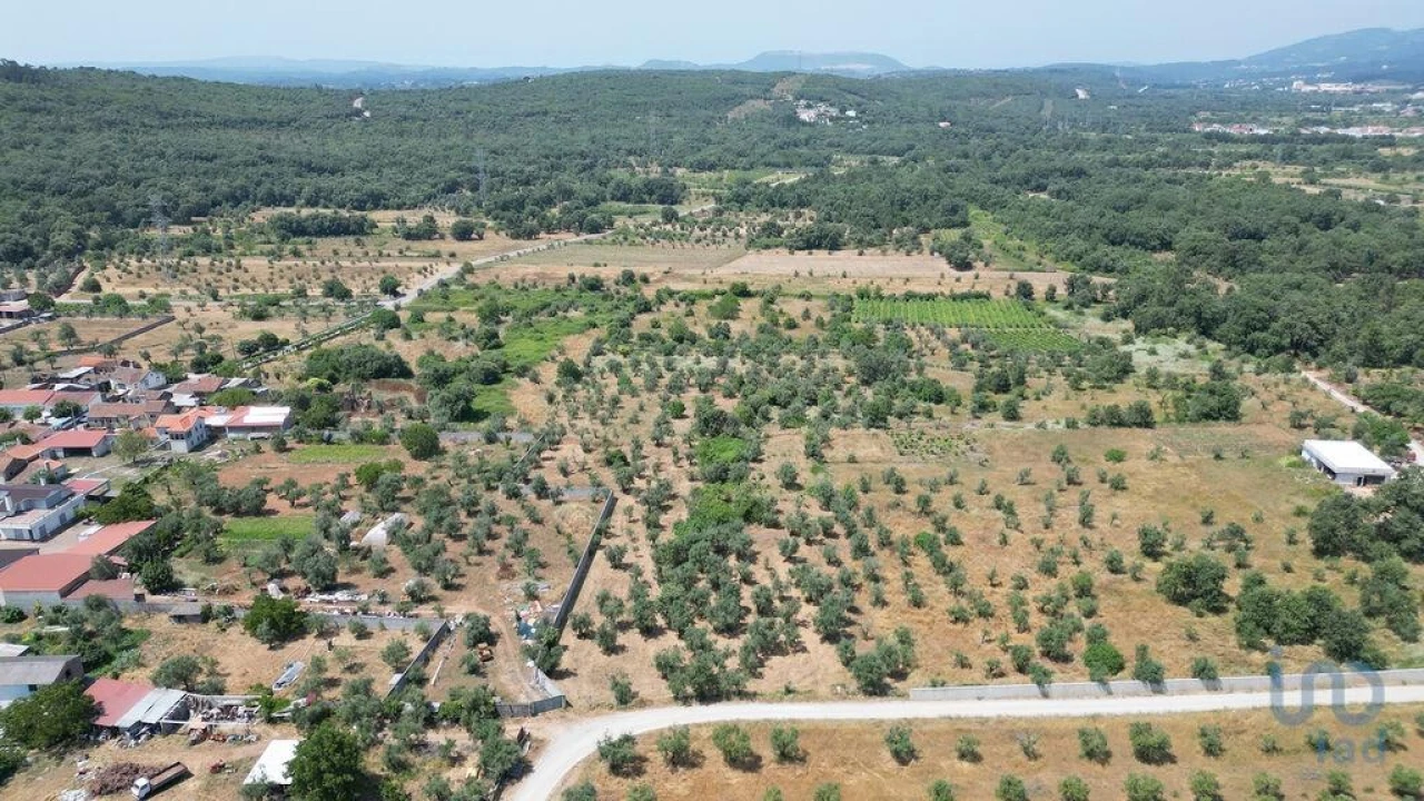 Moradia para Venda em Chão de Couce Foto 9