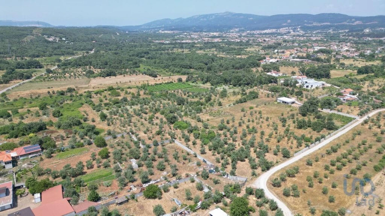 Moradia para Venda em Chão de Couce Foto 11