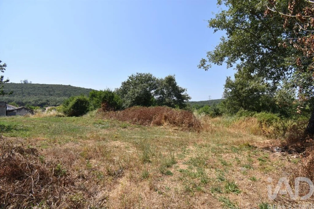 Moradia para Venda em Chão de Couce Foto 23