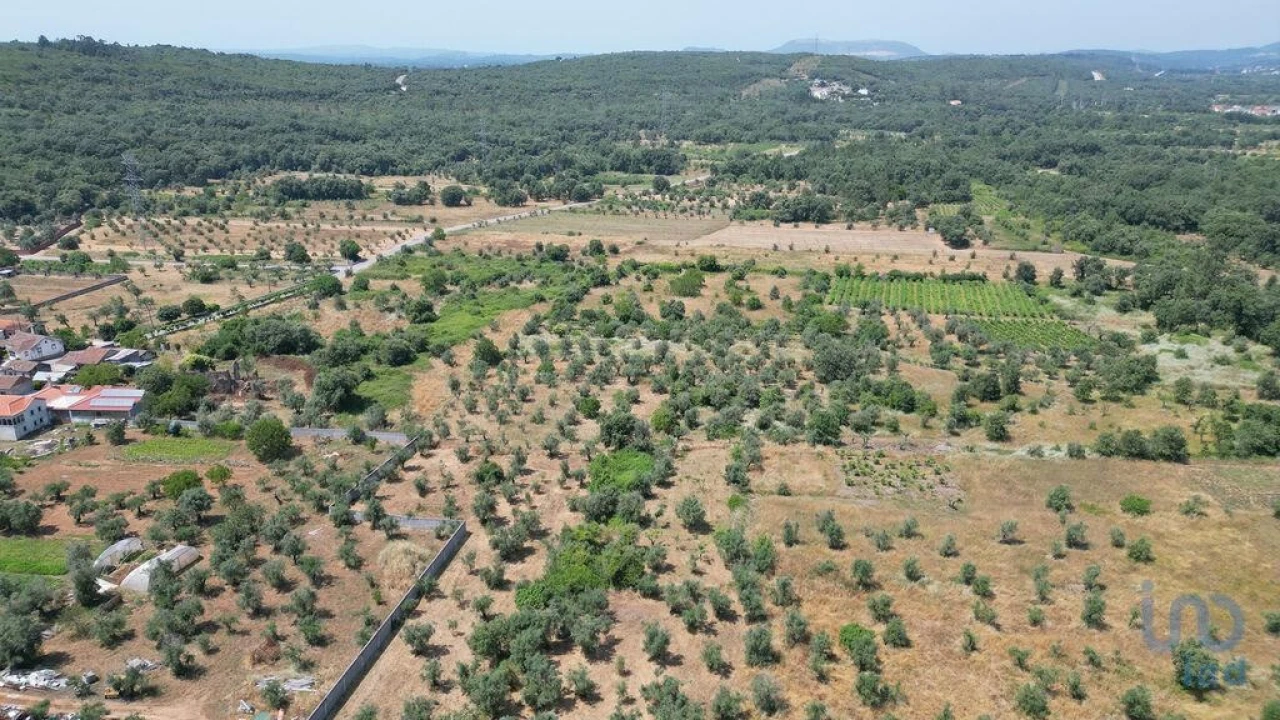 Moradia para Venda em Chão de Couce Foto 8