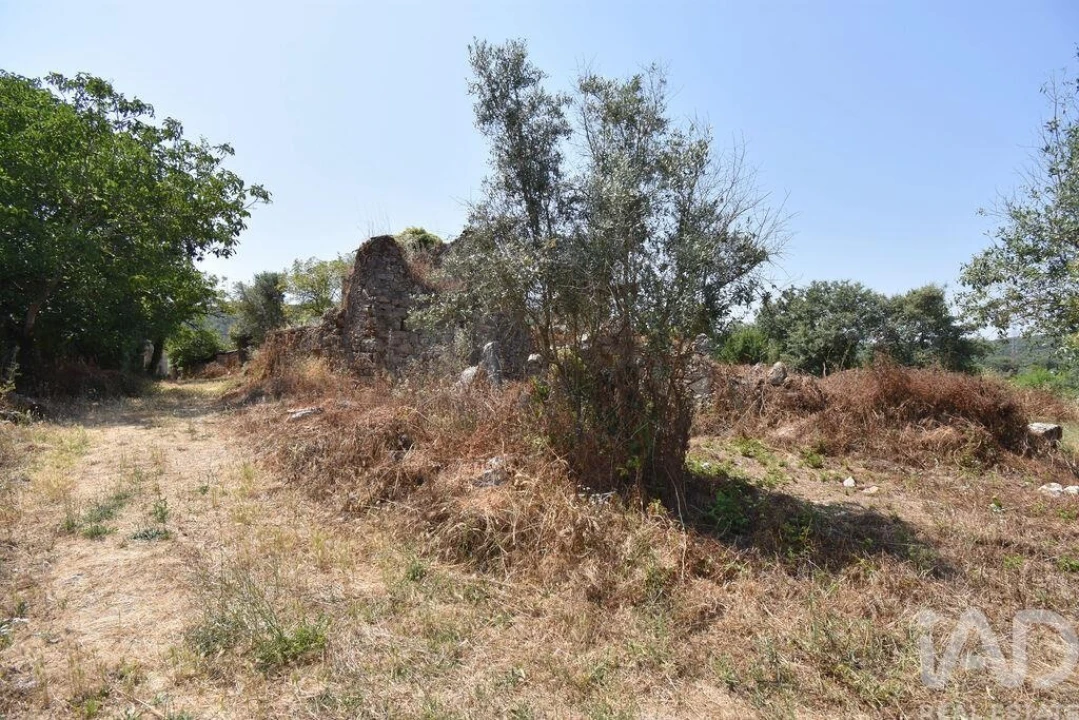 Moradia para Venda em Chão de Couce Foto 21