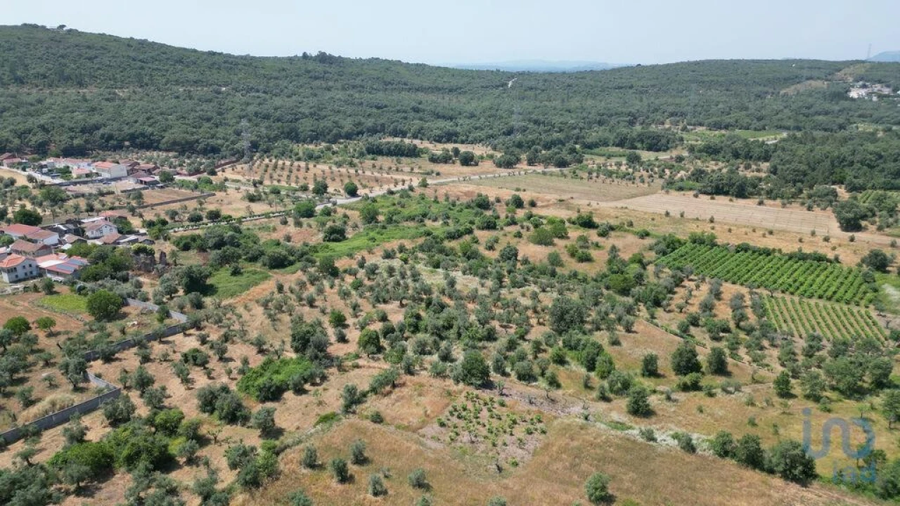 Moradia para Venda em Chão de Couce Foto 7