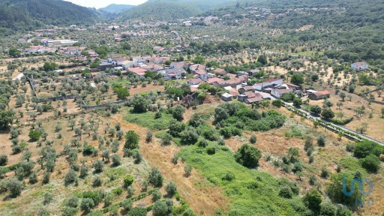Moradia para Venda em Chão de Couce Foto 4