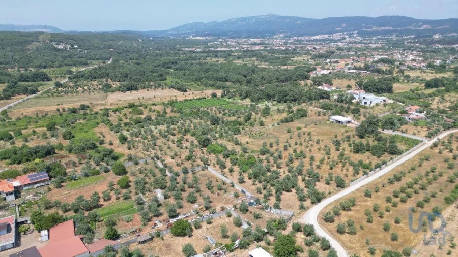 Moradia para Venda em Chão de Couce Foto 11