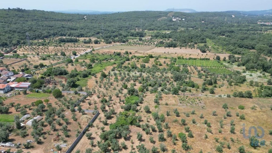 Moradia para Venda em Chão de Couce Foto 8