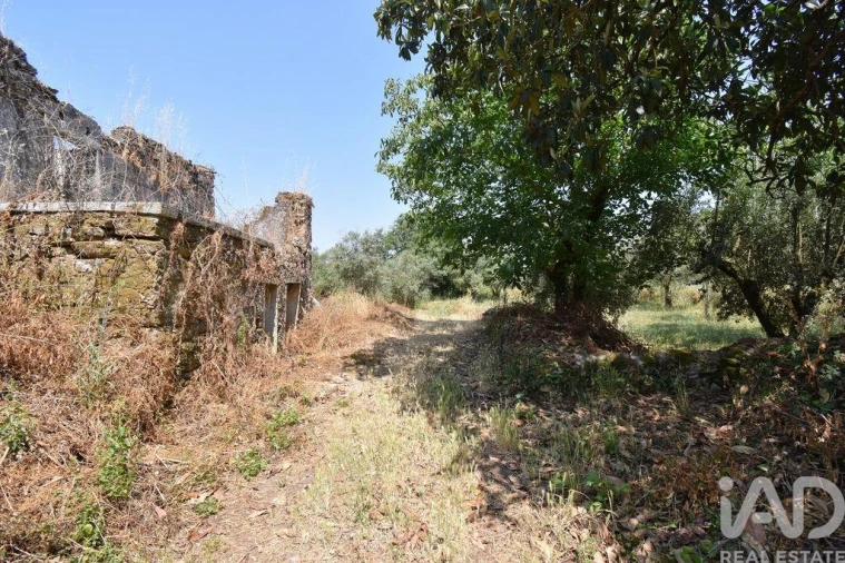 Moradia para Venda em Chão de Couce Foto 17