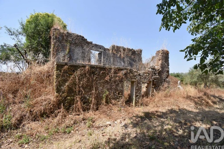 Moradia para Venda em Chão de Couce Foto 19