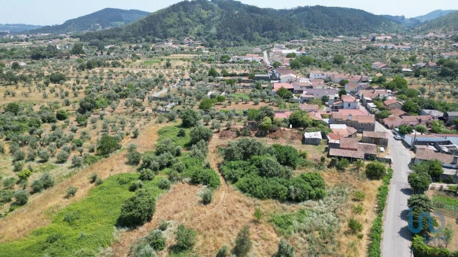 Moradia para Venda em Chão de Couce Foto 3