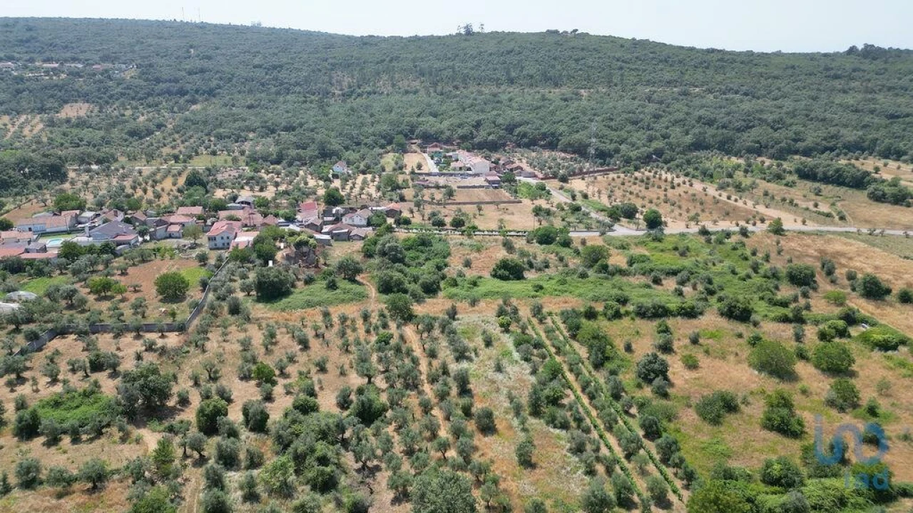 Moradia para Venda em Chão de Couce Foto 6