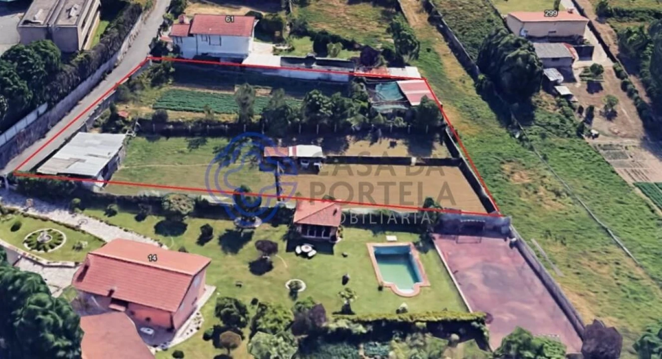 Terreno para Venda em Caldas de São Jorge e Pigeiros Foto 5