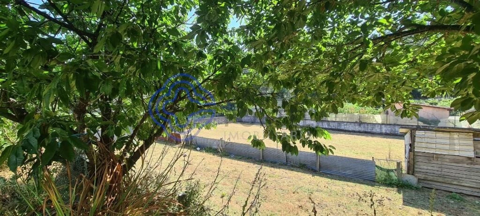 Terreno para Venda em Caldas de São Jorge e Pigeiros Foto 10