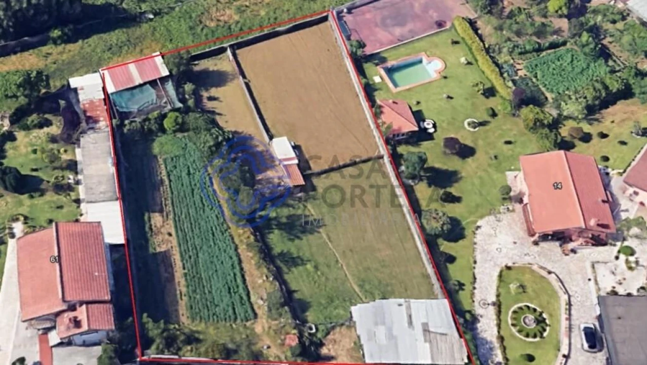 Terreno para Venda em Caldas de São Jorge e Pigeiros Foto 11