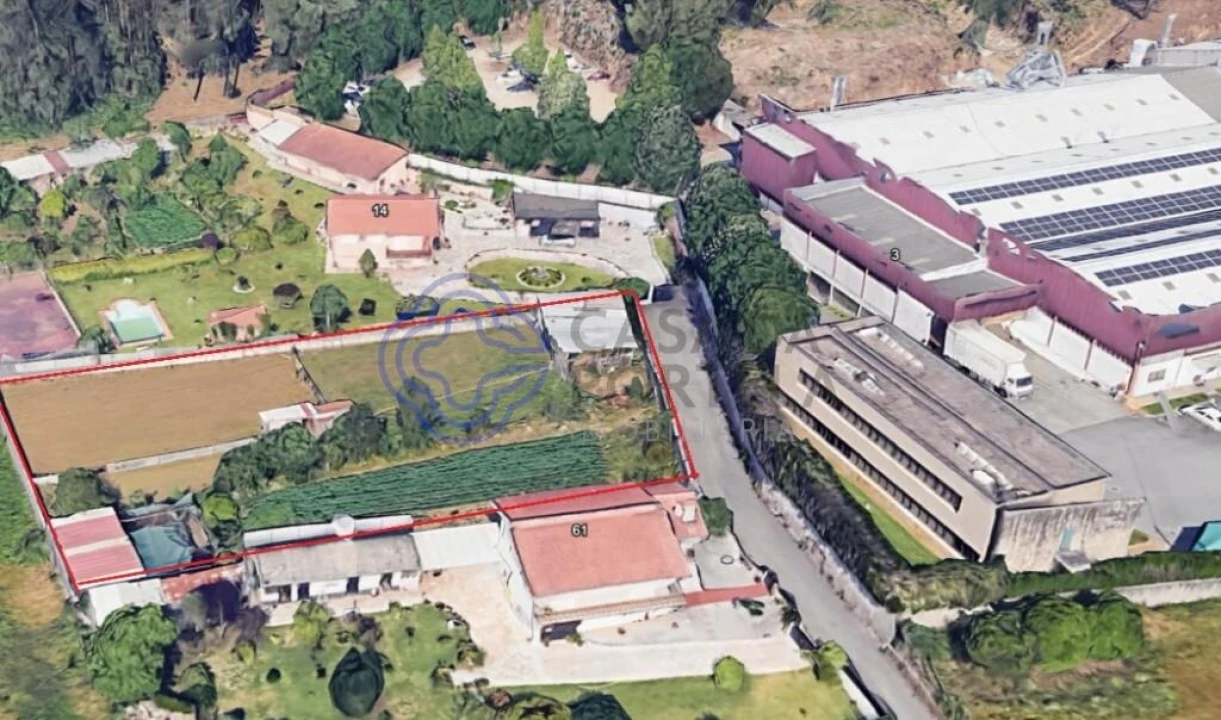 Terreno para Venda em Caldas de São Jorge e Pigeiros Foto 4