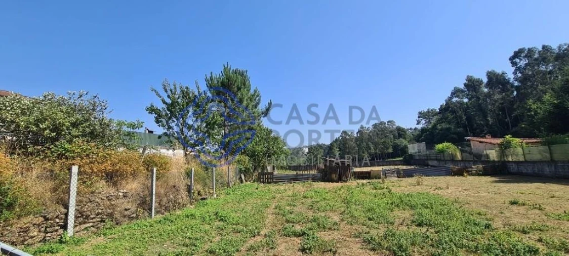 Terreno para Venda em Caldas de São Jorge e Pigeiros Foto 14