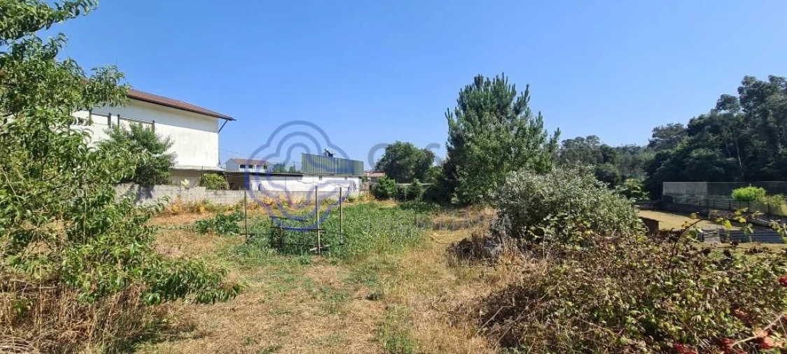 Terreno para Venda em Caldas de São Jorge e Pigeiros Foto 13