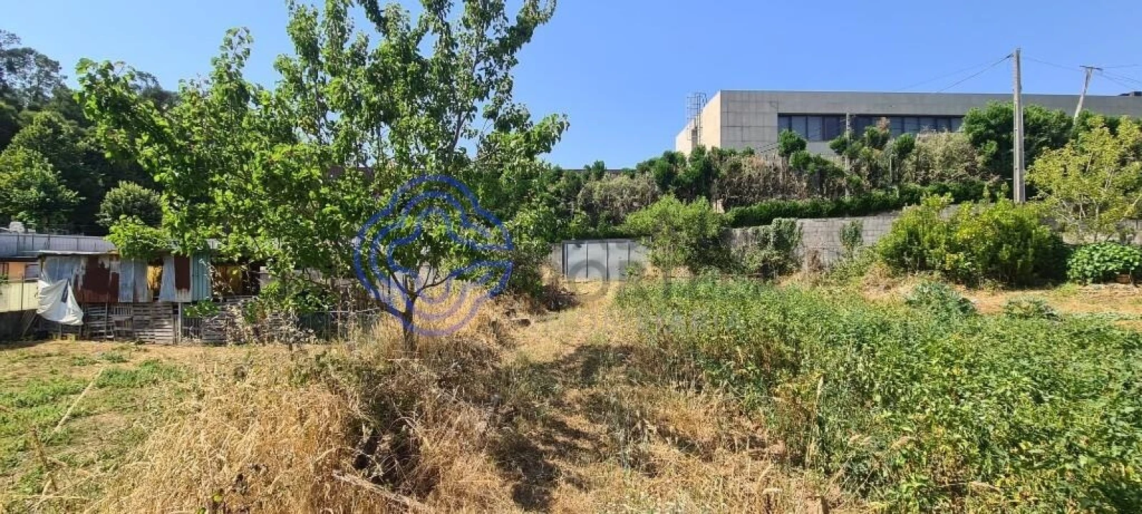 Terreno para Venda em Caldas de São Jorge e Pigeiros Foto 7