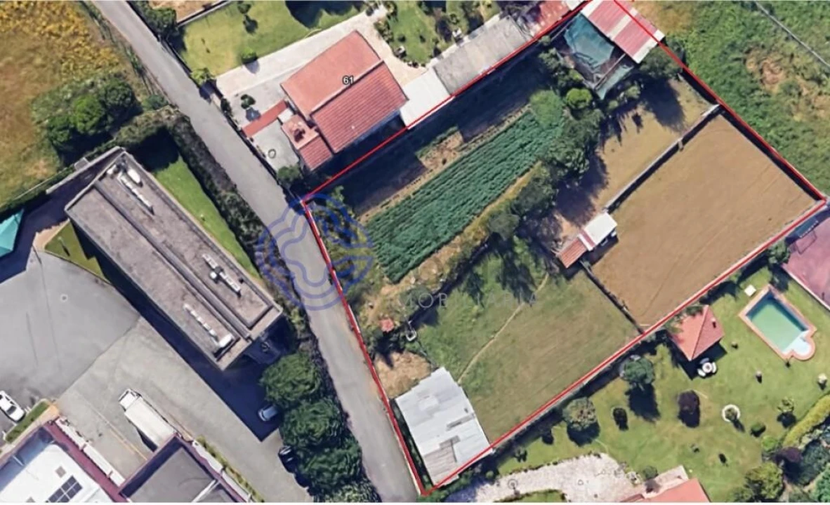 Terreno para Venda em Caldas de São Jorge e Pigeiros Foto 3