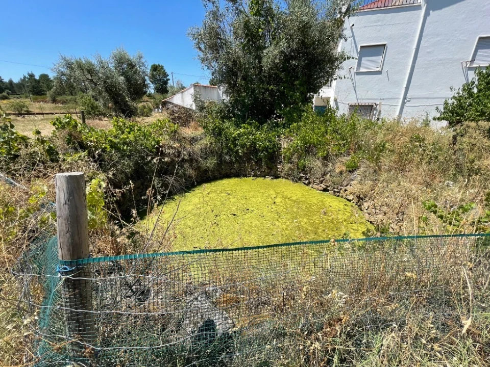 Moradia T3 para Venda em Mação, Penhascoso e Aboboreira Foto 32