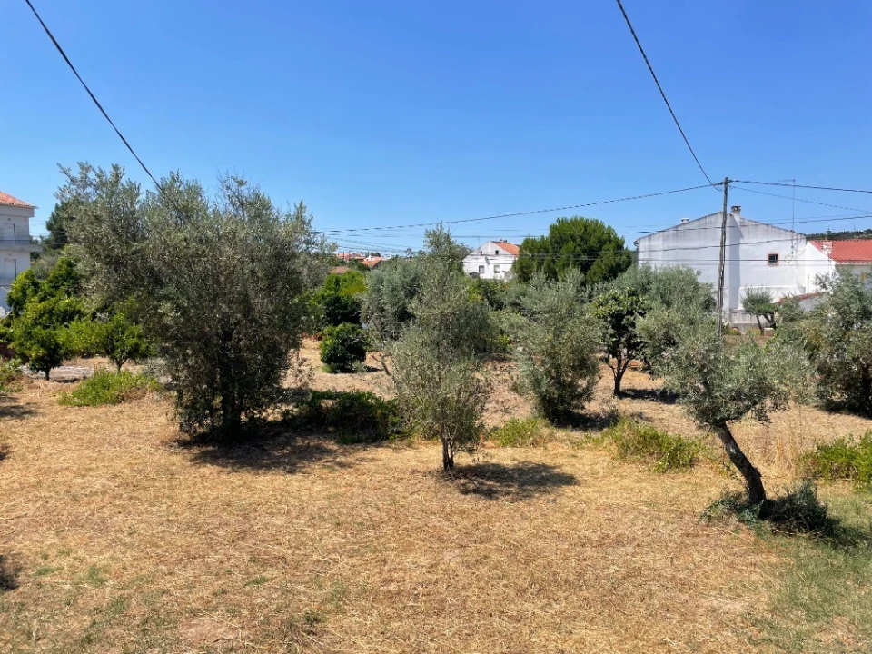 Moradia T3 para Venda em Mação, Penhascoso e Aboboreira Foto 25