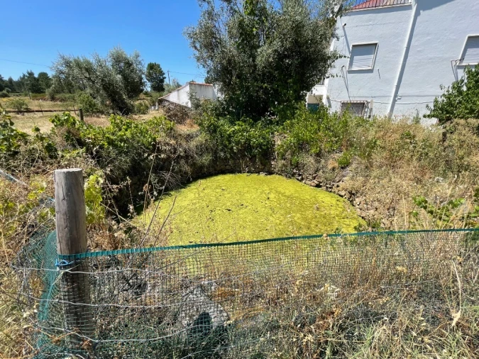 Moradia T3 para Venda em Mação, Penhascoso e Aboboreira Foto 32