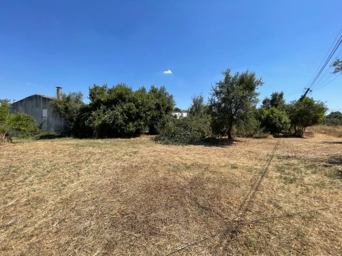 Moradia T3 para Venda em Mação, Penhascoso e Aboboreira Foto 27