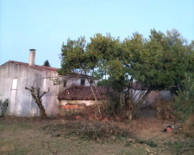 Moradia T3 para Venda em Mação, Penhascoso e Aboboreira Foto 28