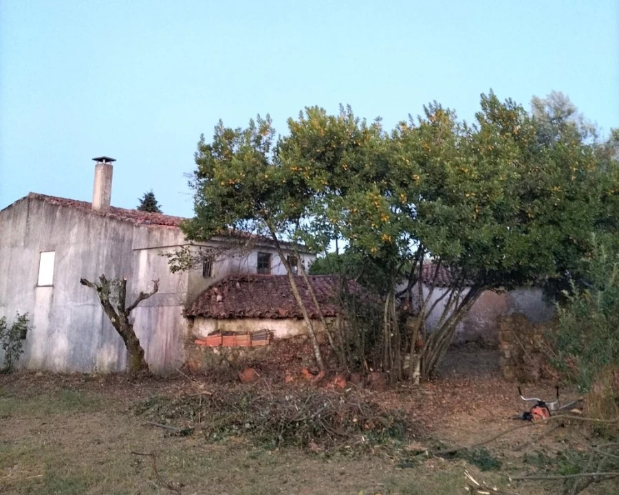 Moradia T3 para Venda em Mação, Penhascoso e Aboboreira Foto 28