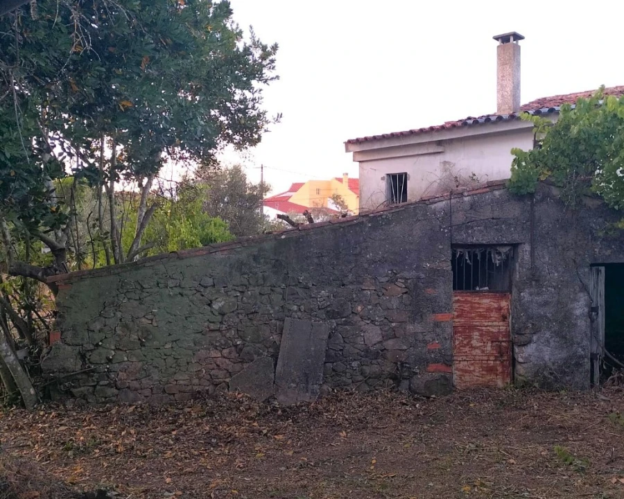 Moradia T3 para Venda em Mação, Penhascoso e Aboboreira Foto 19