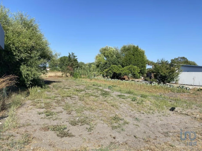 Terreno para Venda em Marinha Grande Foto 9