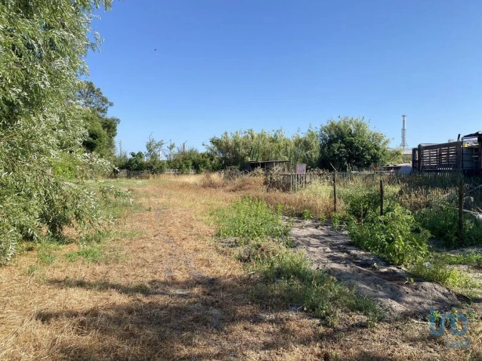 Terreno para Venda em Marinha Grande Foto 5