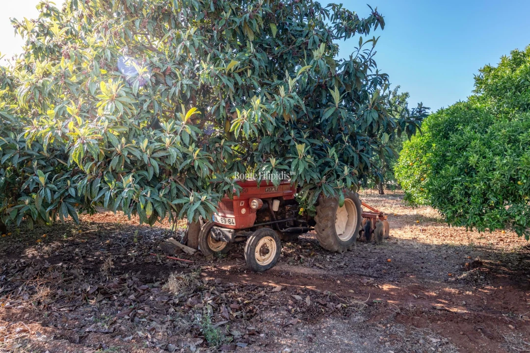 Quinta T9 para Venda em Conceição e Cabanas de Tavira Foto 17