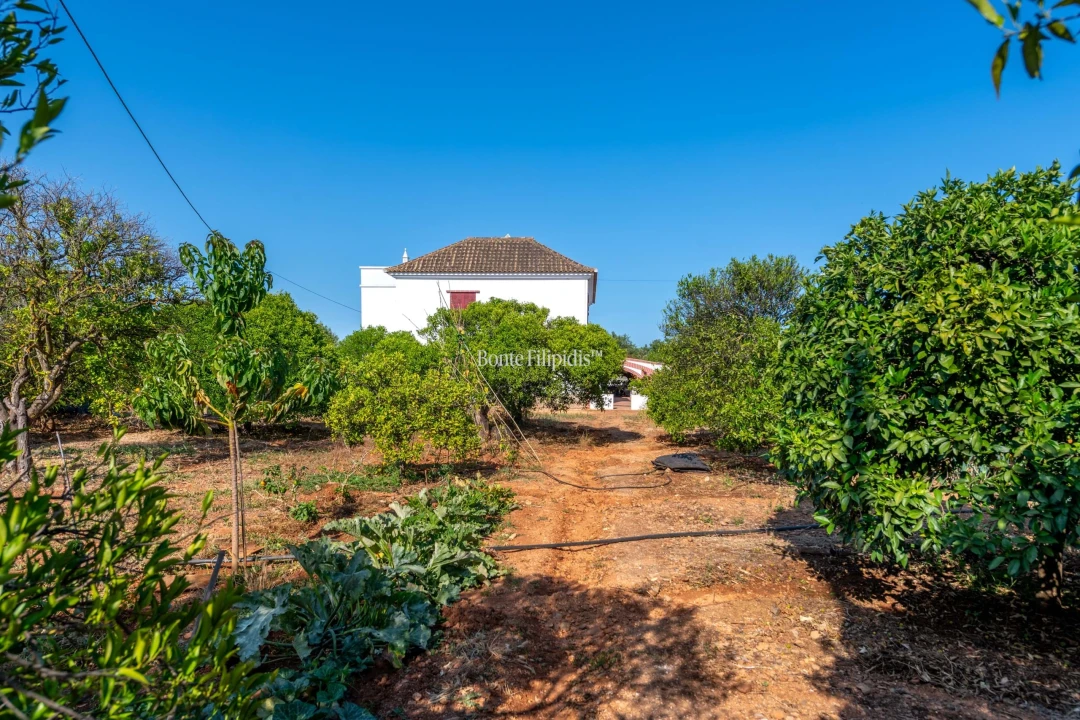 Quinta T9 para Venda em Conceição e Cabanas de Tavira Foto 4