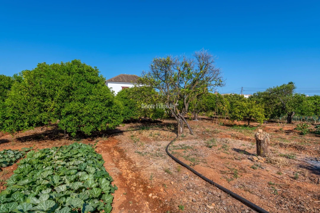 Quinta T9 para Venda em Conceição e Cabanas de Tavira Foto 20