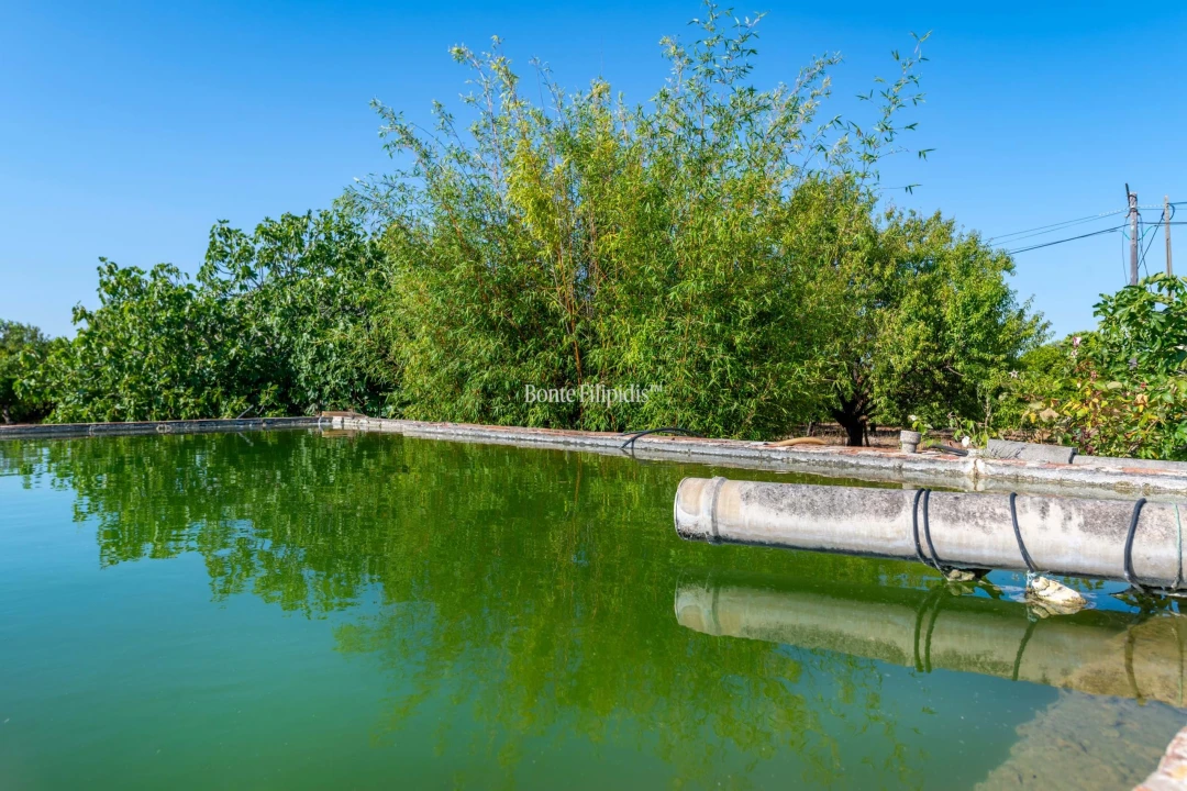 Quinta T9 para Venda em Conceição e Cabanas de Tavira Foto 21