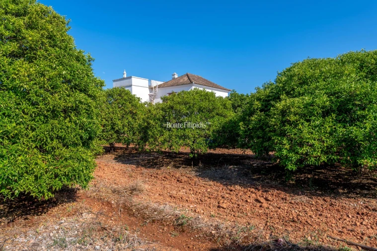 Quinta T9 para Venda em Conceição e Cabanas de Tavira Foto 18