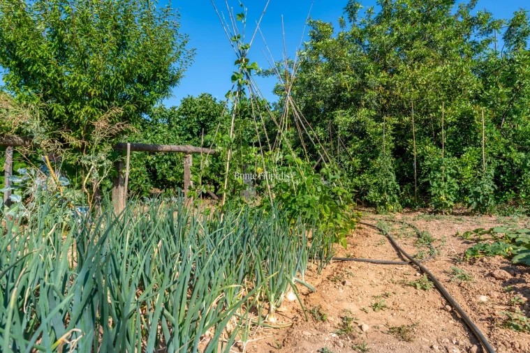 Quinta T9 para Venda em Conceição e Cabanas de Tavira Foto 22