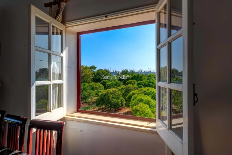 Quinta T9 para Venda em Conceição e Cabanas de Tavira Foto 9