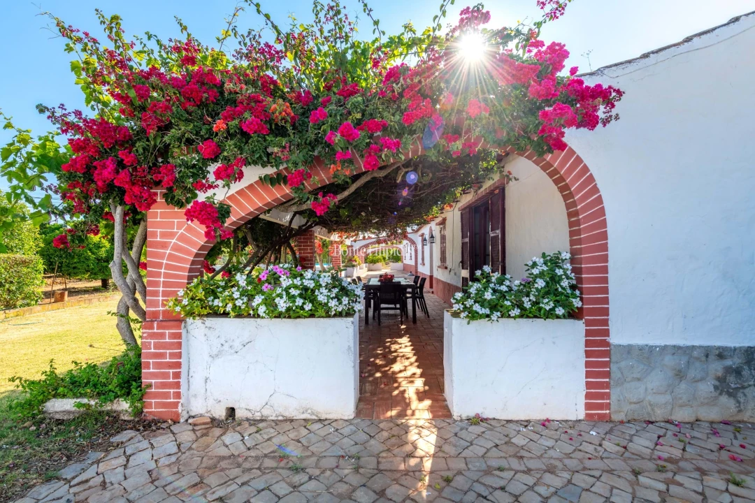 Quinta T9 para Venda em Conceição e Cabanas de Tavira Foto 6