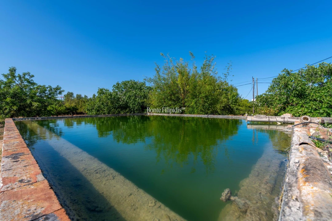 Quinta T9 para Venda em Conceição e Cabanas de Tavira Foto 23