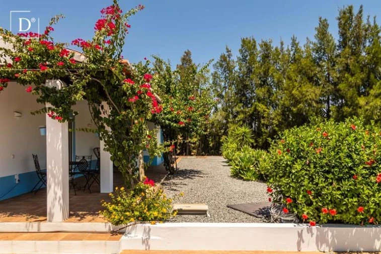 Moradia T3 para Venda em Mertola Foto 33